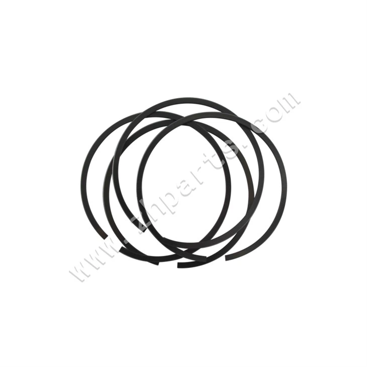 Renault Piston Ring79.5mm
